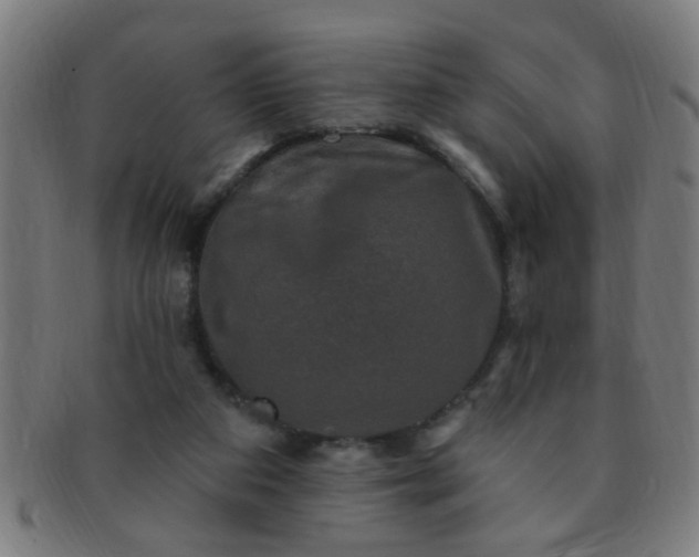 X0000091350113200708241256