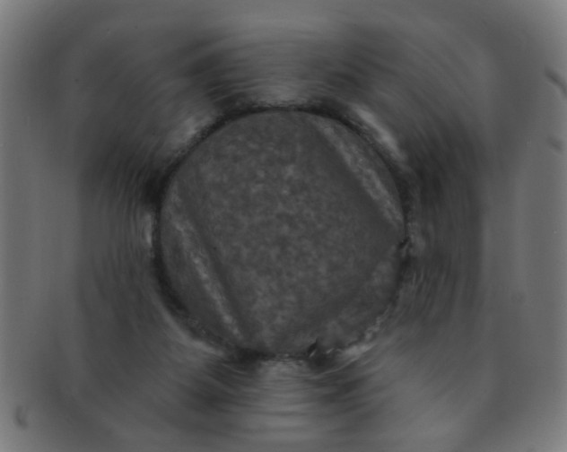 X0000091350115200708241256