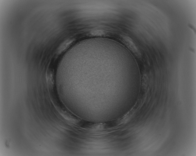 X0000091350116200708241256