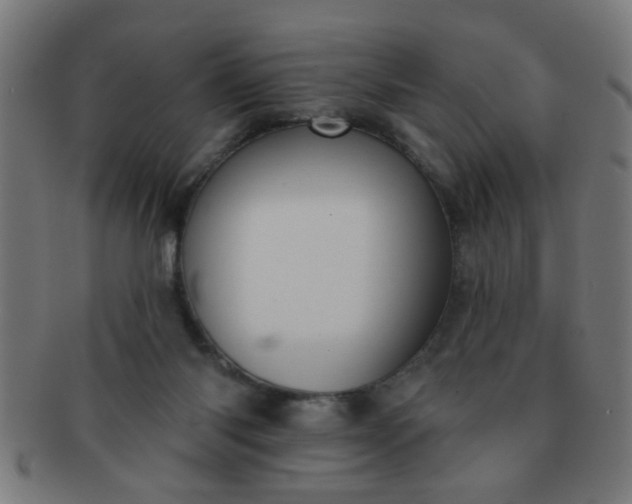X0000091350118200708241256
