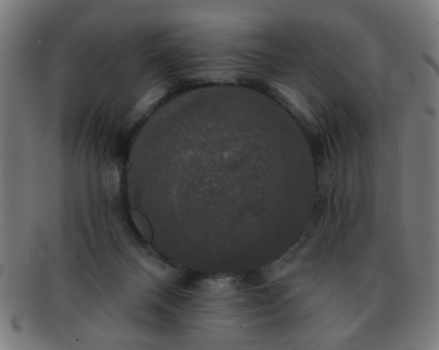 X0000091350120200708241256