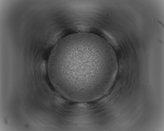 X0000091350121200708241256