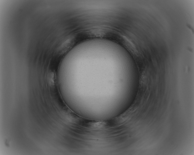 X0000091350122200708241256