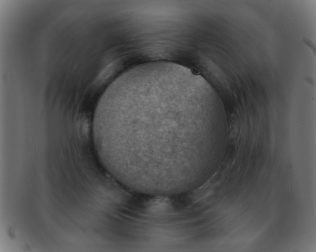 X0000091350124200708241256