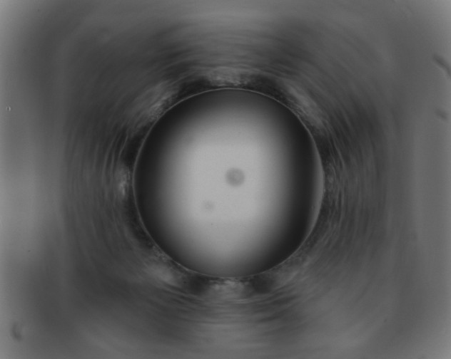 X0000091350125200708241256