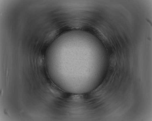 X0000091350126200708241256