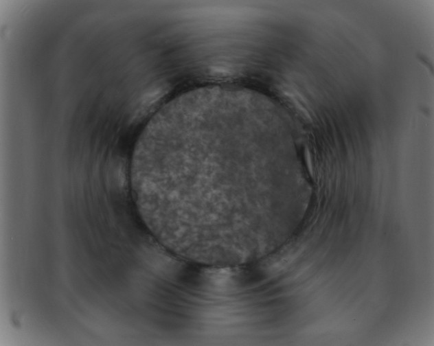 X0000091350131200708241256