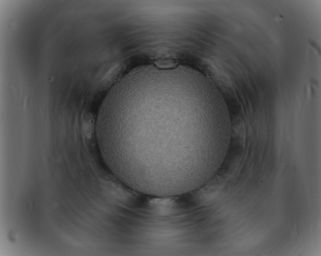 X0000091350133200708241256