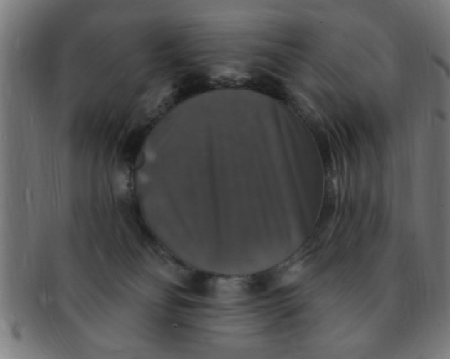 X0000091350134200708241256
