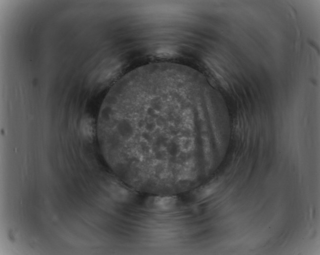 X0000091350135200708241256