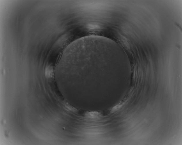 X0000091350137200708241256