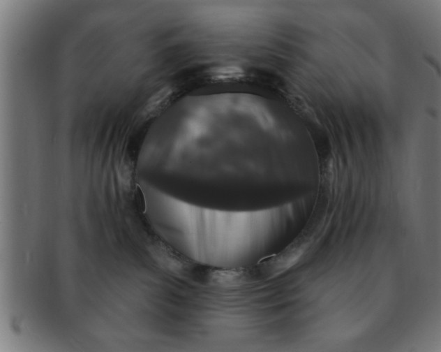 X0000091350139200708241256