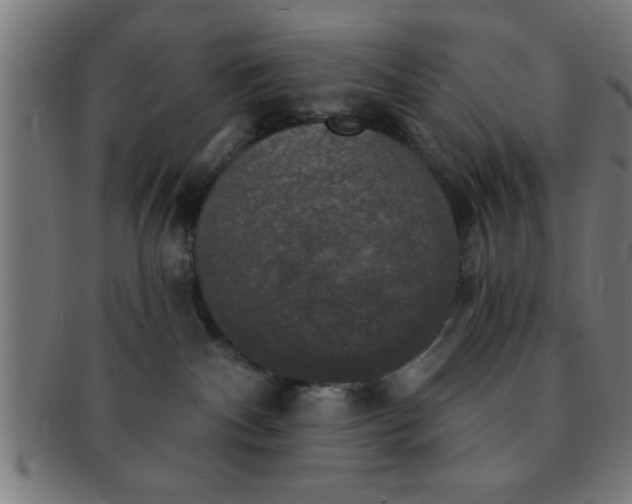 X0000091350140200708241256