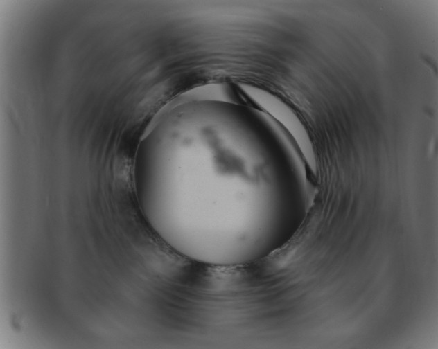 X0000091350141200708241256
