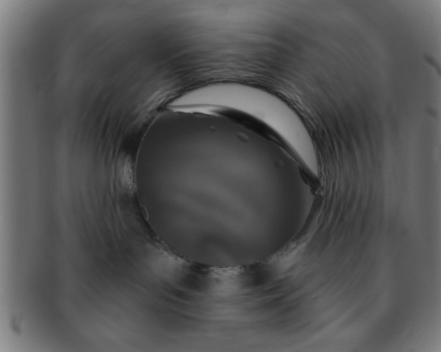 X0000091350143200708241256