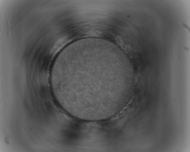 X0000091350146200708241255
