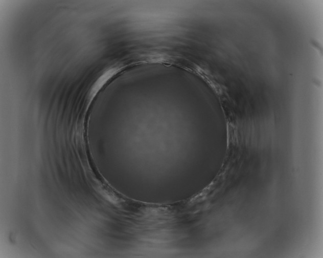 X0000091350147200708241255