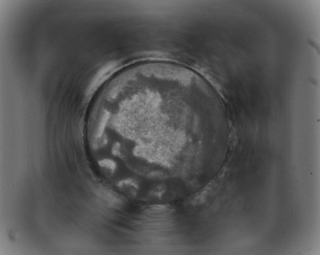 X0000091350151200708241255