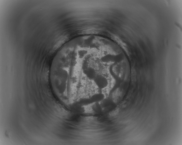 X0000091350153200708241255