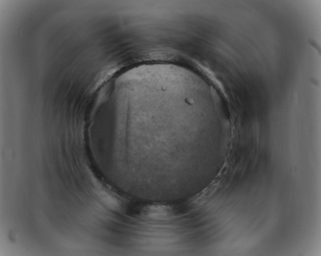 X0000091350154200708241255