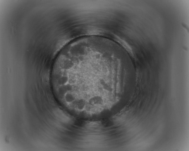 X0000091350155200708241255