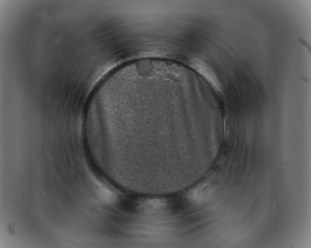 X0000091350156200708241255