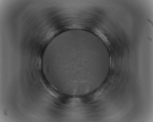 X0000091350157200708241255