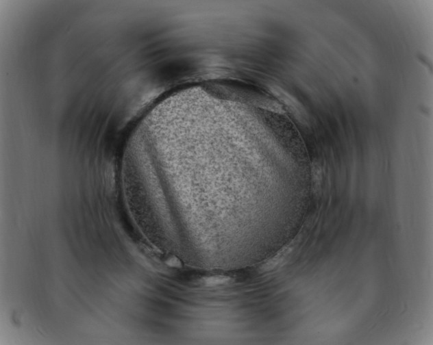 X0000091350158200708241255