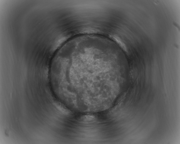 X0000091350159200708241255