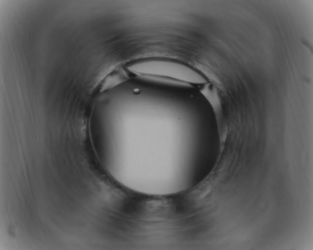 X0000091350160200708241255