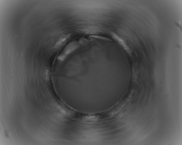 X0000091350161200708241255