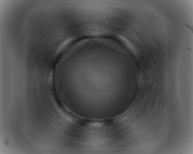 X0000091350163200708241255