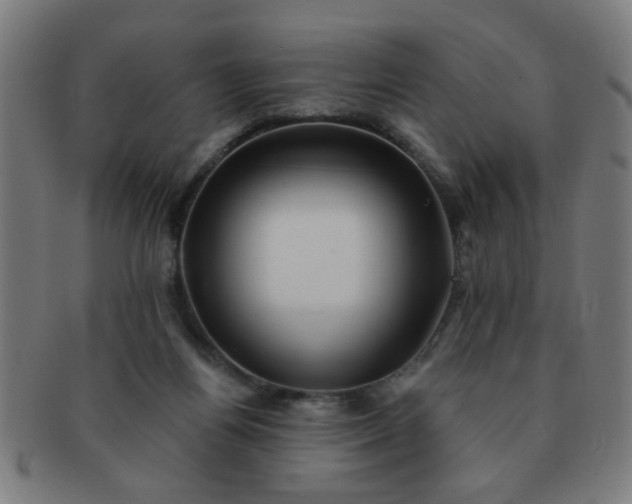 X0000091350164200708241255