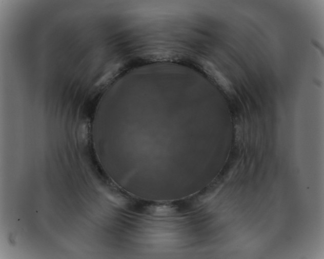 X0000091350165200708241255