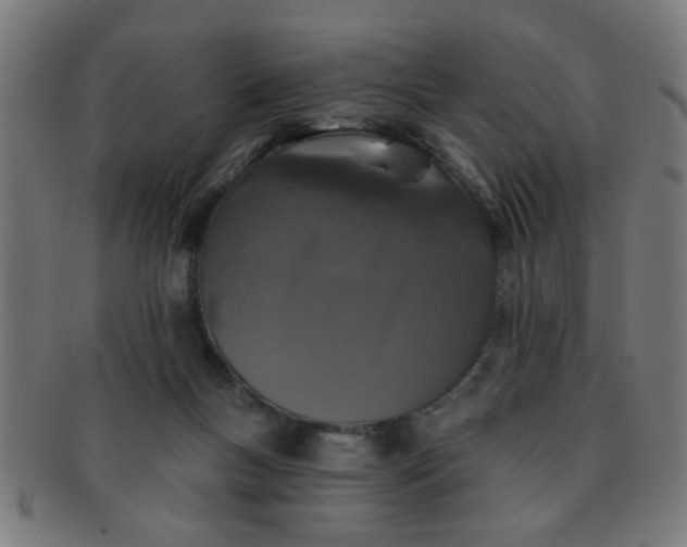 X0000091350167200708241255
