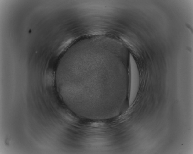X0000091350168200708241255