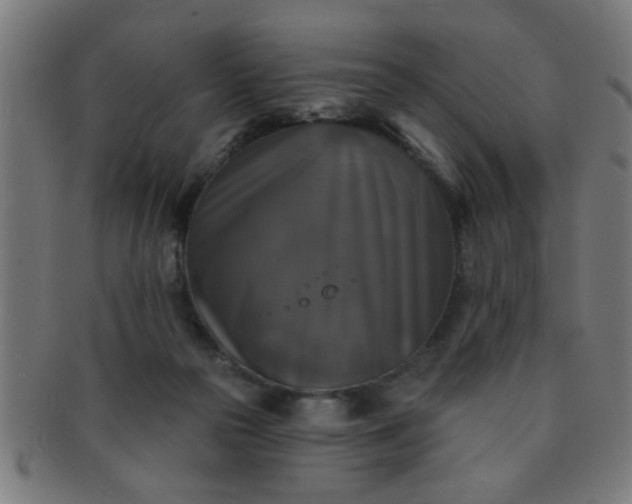 X0000091350169200708241255