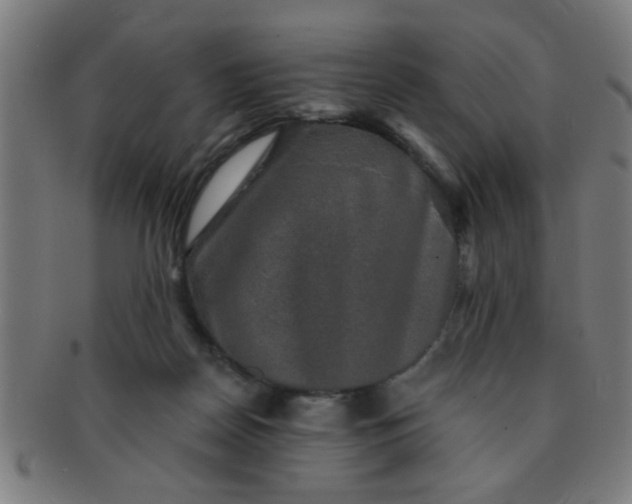 X0000091350170200708241255