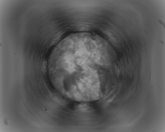 X0000091350171200708241255