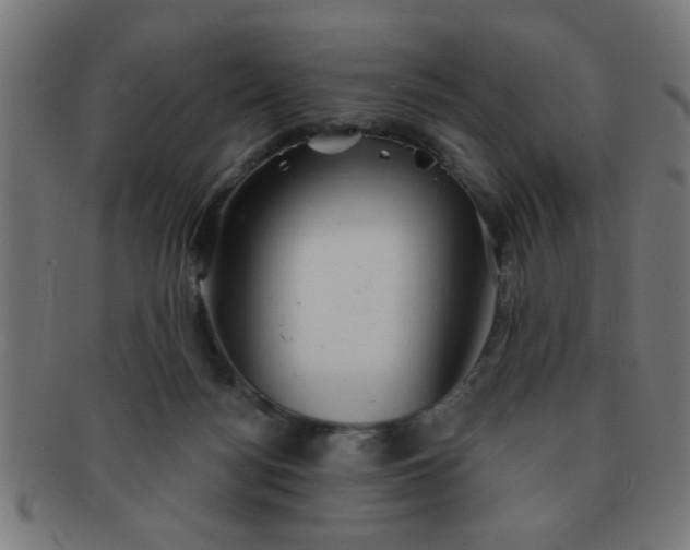 X0000091350172200708241255