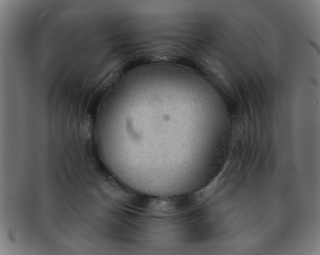 X0000091350174200708241256
