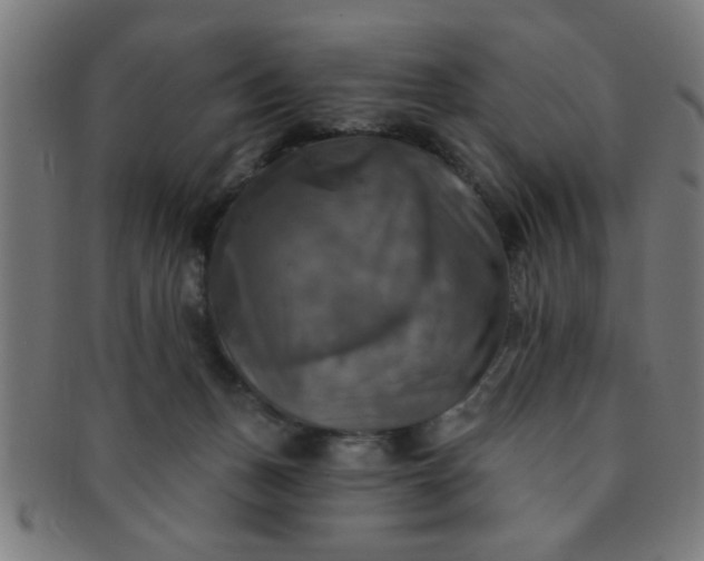 X0000091350175200708241256