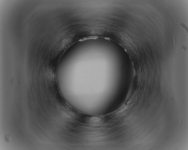 X0000091350176200708241256