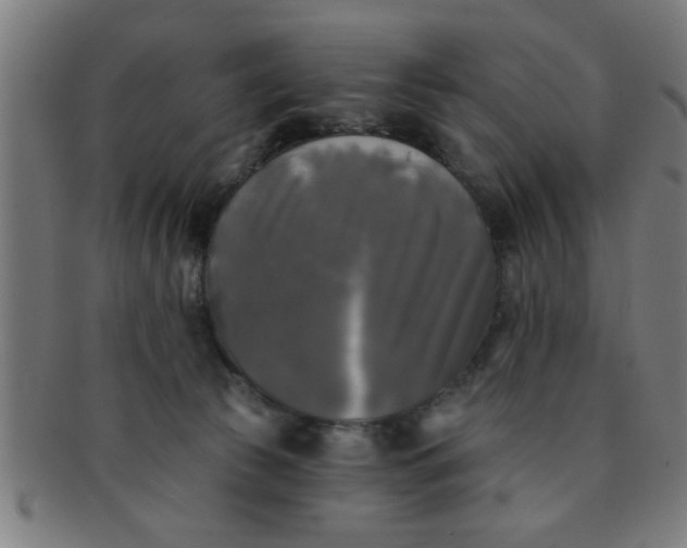 X0000091350177200708241256