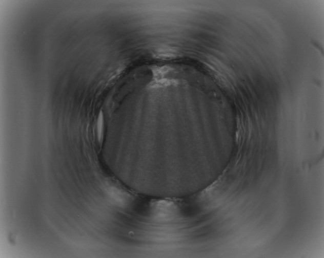 X0000091350180200708241256