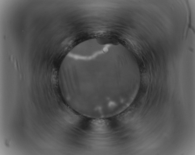 X0000091350181200708241256