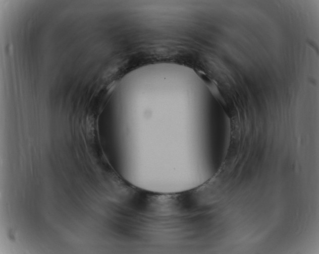 X0000091350184200708241256