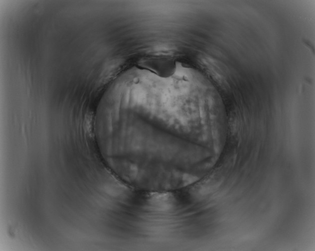 X0000091350185200708241256