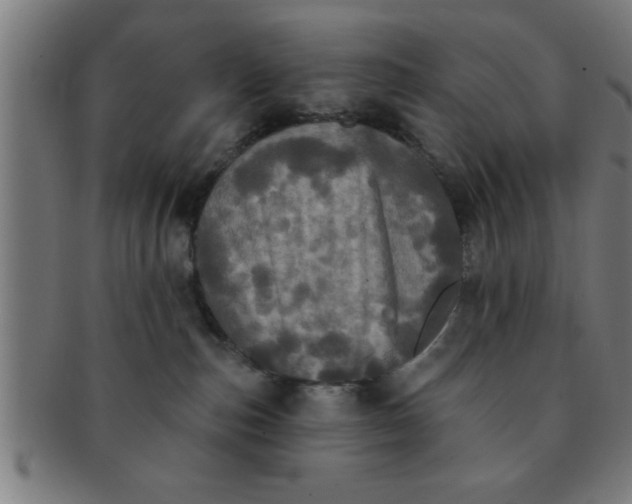 X0000091350187200708241256