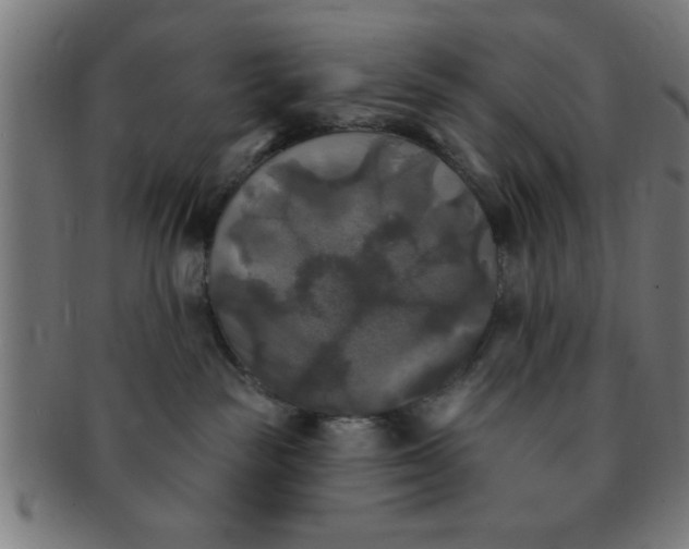 X0000091350189200708241256